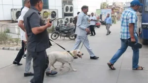 Multiple Jaipur Schools Evacuated After Bomb Threat; Authorities Investigate